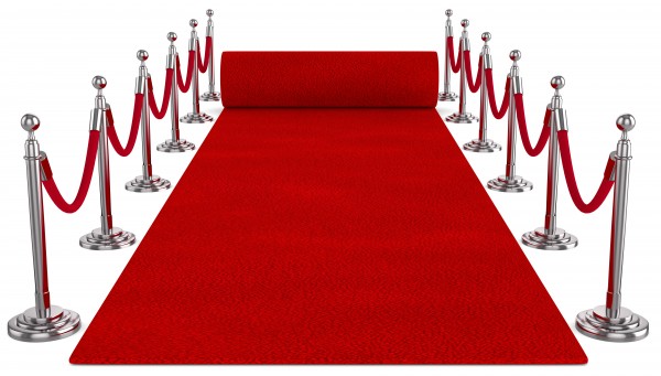 VIP Eingang für Hochzeit und Event Roter Teppich Personenleitsystem